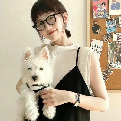 犯罪的都市